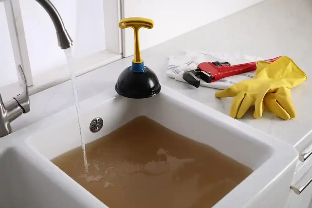 Common Drain Clogs and How to Prevent Them